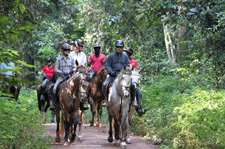 Uganda-Uganda-White Nile Explorer - Ride and Raft